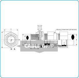Flameproof Double Compression Cable Glands for Armoured Cables for Gas Group llA / llB - Drawing
