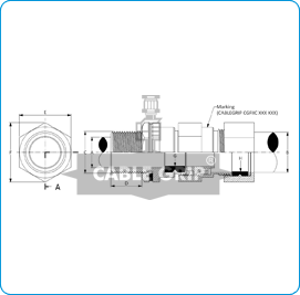 Flameproof Double Compression Cable Glands for Armoured Cables for Gas Group llC - Drawing