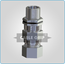 Flameproof Double Compression Cable Glands for Armoured Cables for Gas Group llC - Photo